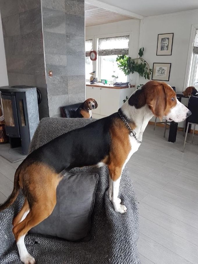 Lita 10 måneder.