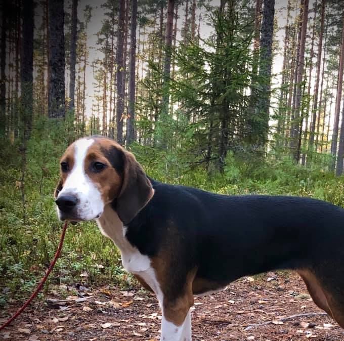 Lara 6 måneder gammel