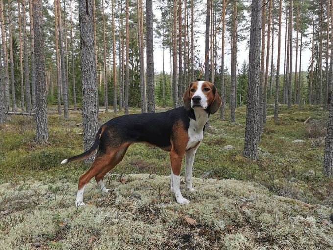 Lara 1 år.